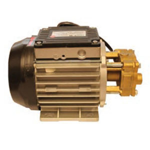 Speck water pump normal suction type LNY2041, 400 Volt, high box, brass head, 400V/50Hz/0,65A, L x W x H = 225 x 110 x 145 mm. | Pumps