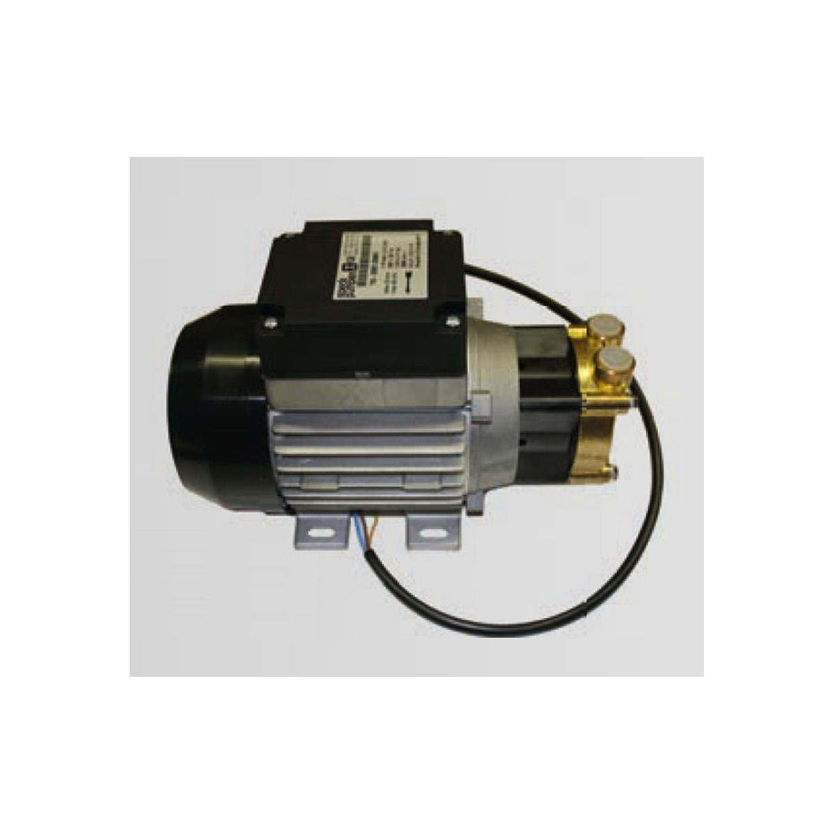 Speck water pump self-priming type Y2951, 230 Volt, high box, brass head,  230V/50Hz/1,25A, L x W x H = 225 x 110 x 145 mm.