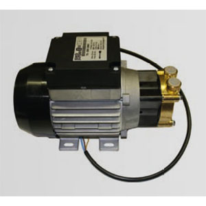 Speck Wasserpumpe selbstansaugend Type Y2951, 230 Volt, hoher Kasten, Messingkopf, 230V/50Hz/1,25A, L x B x H = 225 x 110 x 145 mm. | Pumpen