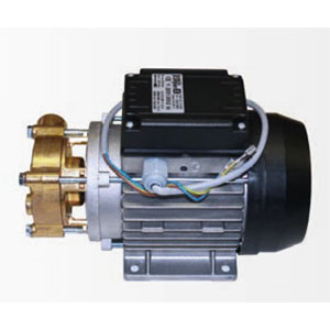 SPECK PY-2071.0353 Turbine Regenerierend Pumpe 230V Neu # Motor