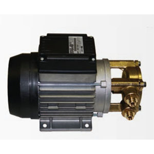 Speck Wasserpumpe selbstansaugend Type NPY 2051, 230 Volt, hoher Kasten, Messingkopf gedreht, 230V/50Hz/3,5A, L x B x H = 250 x 120 x 160 mm | Pumpen